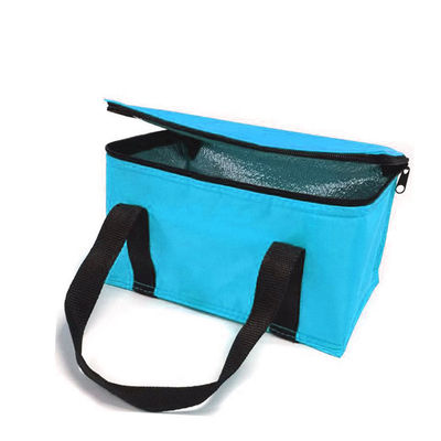 OEM Custom Printing Soft Insulated Cooler Bag 21*13*14 سانتی متر با ظرفیت 4L 16L 32L