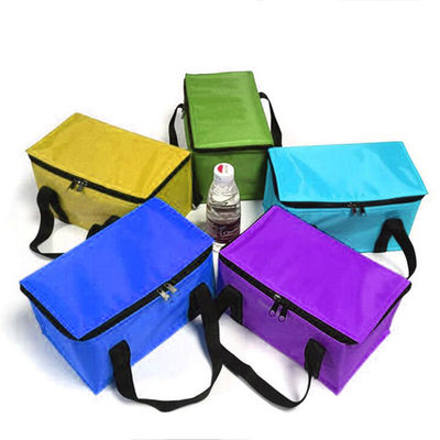 OEM Custom Printing Soft Insulated Cooler Bag 21*13*14 سانتی متر با ظرفیت 4L 16L 32L