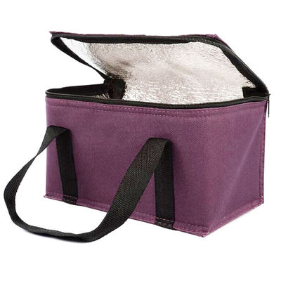 OEM Custom Printing Soft Insulated Cooler Bag 21*13*14 سانتی متر با ظرفیت 4L 16L 32L