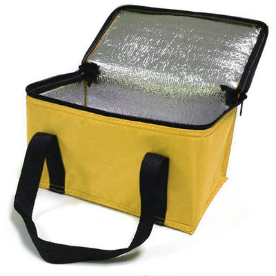 OEM Custom Printing Soft Insulated Cooler Bag 21*13*14 سانتی متر با ظرفیت 4L 16L 32L
